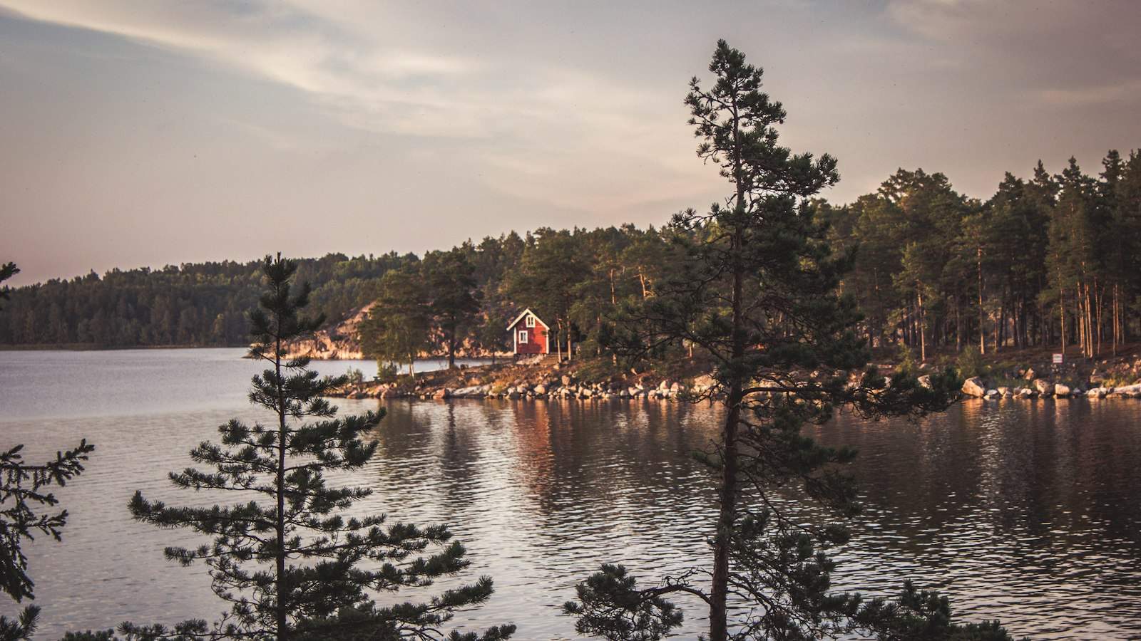 Camping i Sverige – skog och natur
