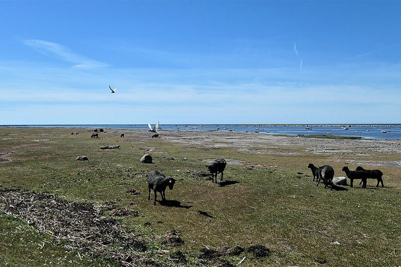 Camping i Kalmar
